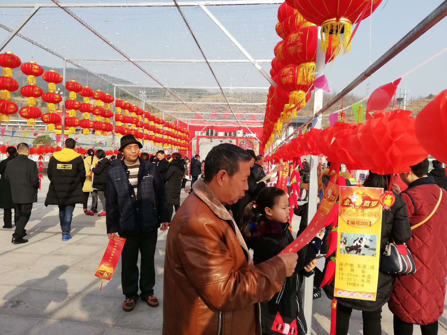 图片3
