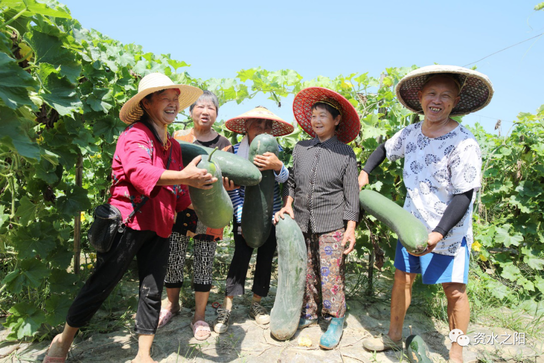 5 5.png?v=1765880751644