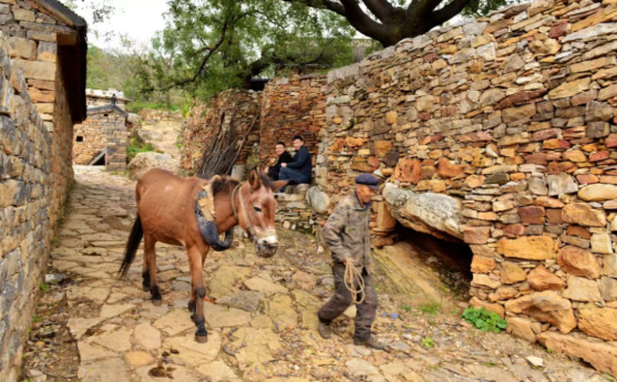 8176d5b596c69b44a341d0ff0c155d5epng