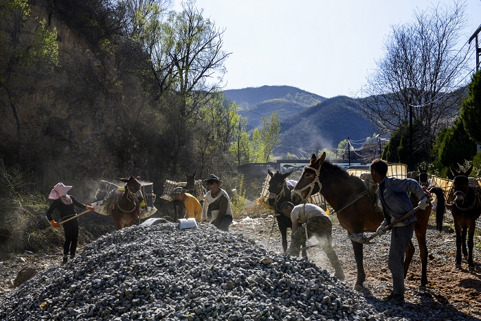 当代马帮,杜政宏 当代马帮,杜政宏.jpg
