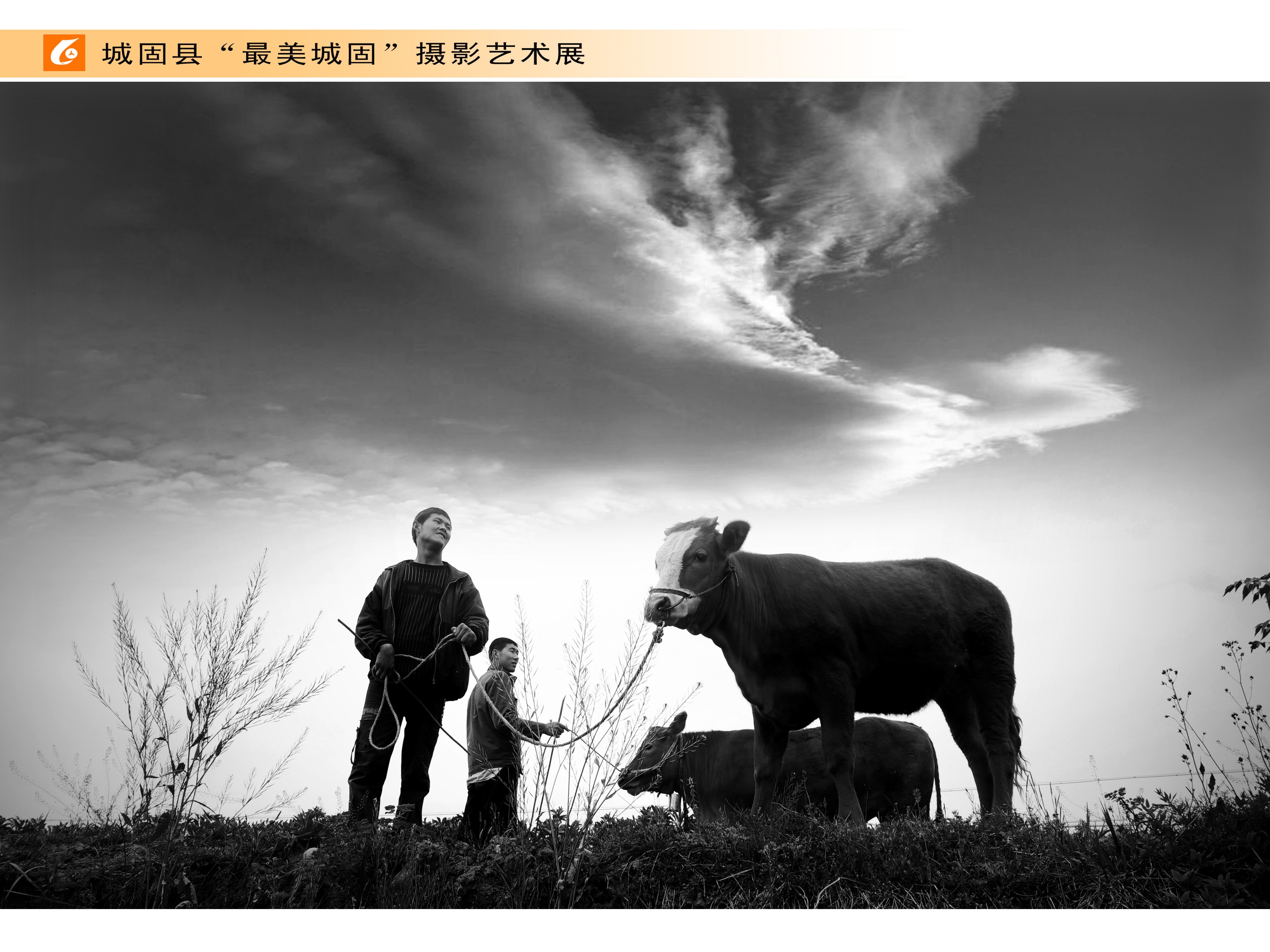 城固《牧歌》 罗汉涛摄(1).jpg?v=1746428377305