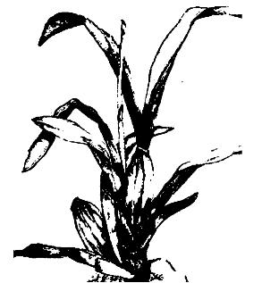 pagenumber_ebook=294,pagenumber_book=294