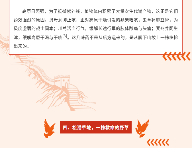 image.png?v=1792101750211