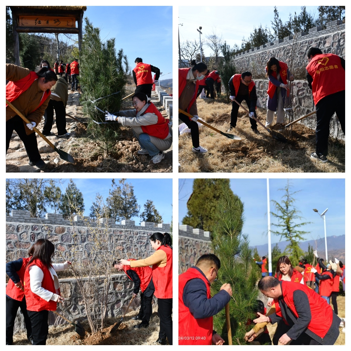 cd86288a19bd68502eff78ad92949e53 cd86288a19bd68502eff78ad92949e53.jpg