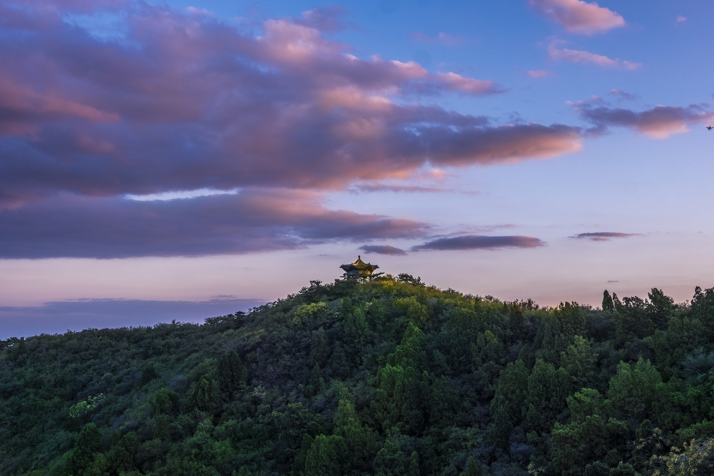 _DSF9280 _DSF9280.jpg