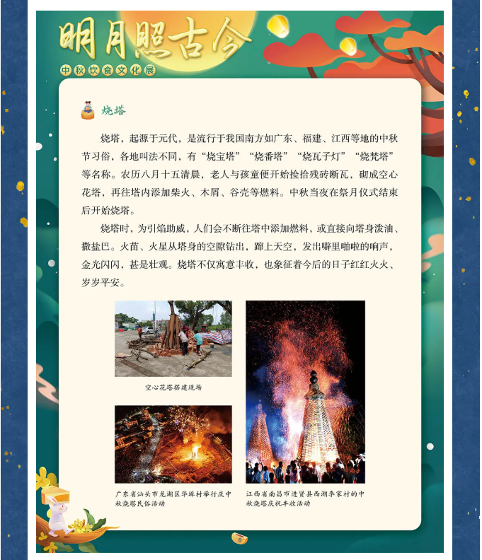 image.png?v=1762100189563