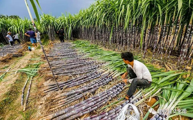 22 22.jpg?v=1765891042459