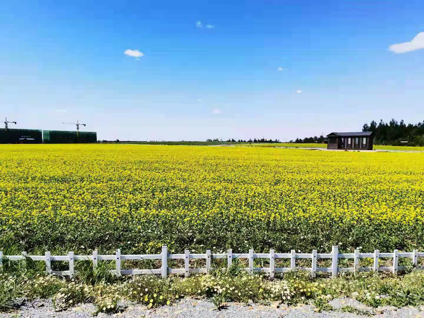 78500f5a798c02df8071b56b8ca0681 78500f5a798c02df8071b56b8ca0681.jpg