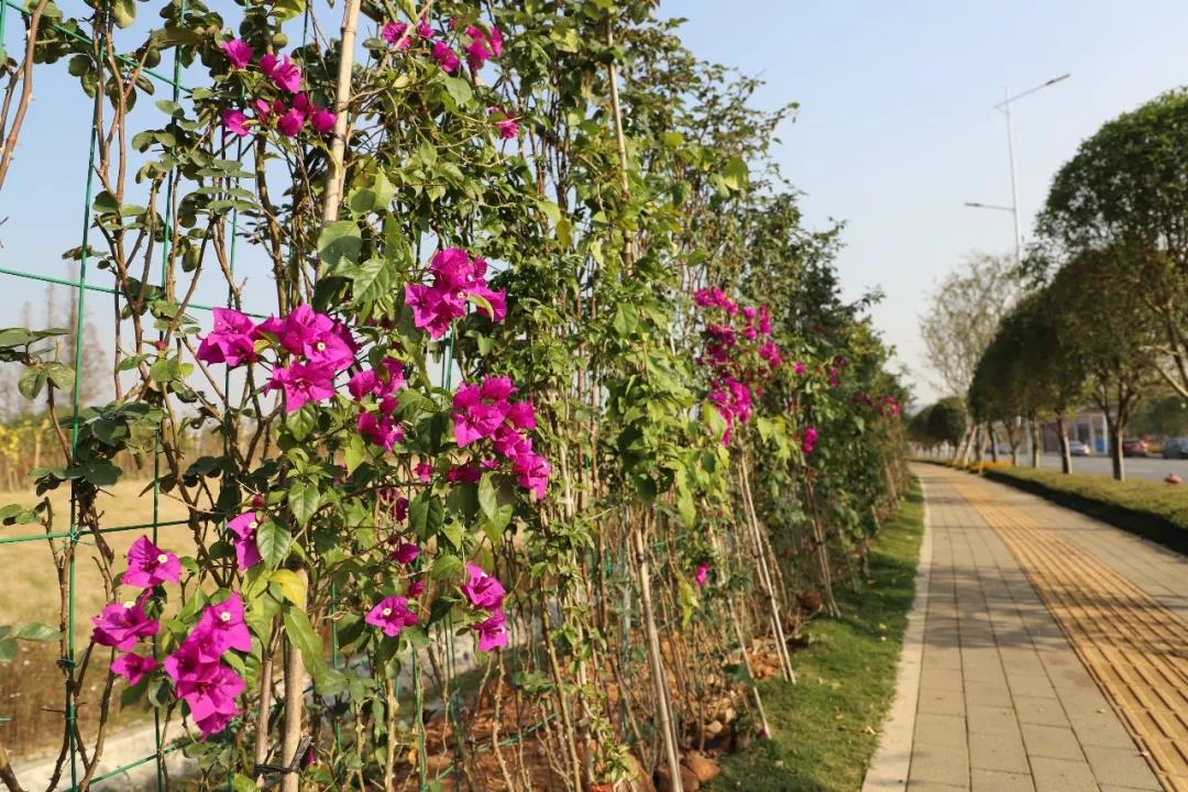 微信图片_20200713201435 微信图片_20200713201435.jpg