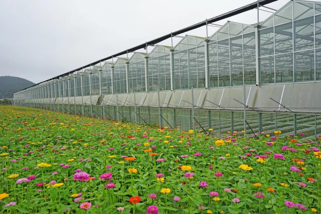 微信图片_20201022220503 微信图片_20201022220503.jpg