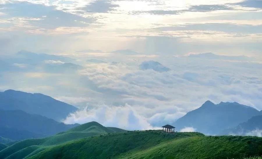 微信图片_20201222182049 微信图片_20201222182049.jpg