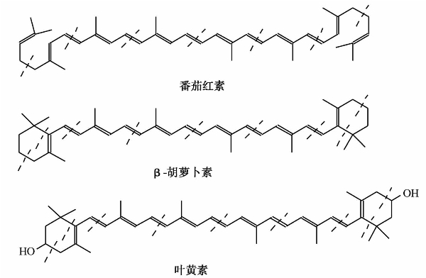 pagenumber_ebook=246,pagenumber_book=246