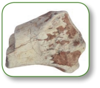 pagenumber_ebook=228,pagenumber_book=215