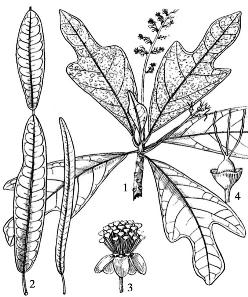 pagenumber_ebook=151,pagenumber_book=151