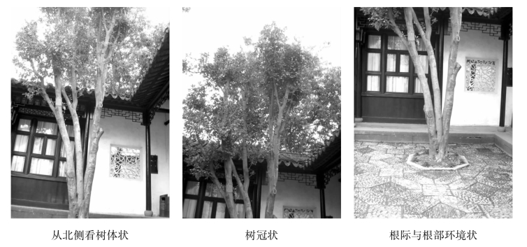 pagenumber_ebook=142,pagenumber_book=142