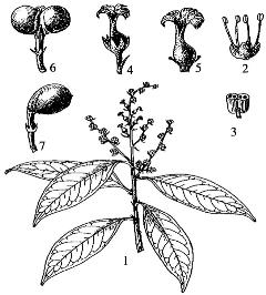 pagenumber_ebook=86,pagenumber_book=86