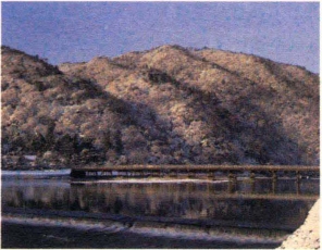 pagenumber_ebook=200,pagenumber_book=191