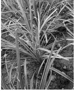 pagenumber_ebook=213,pagenumber_book=213