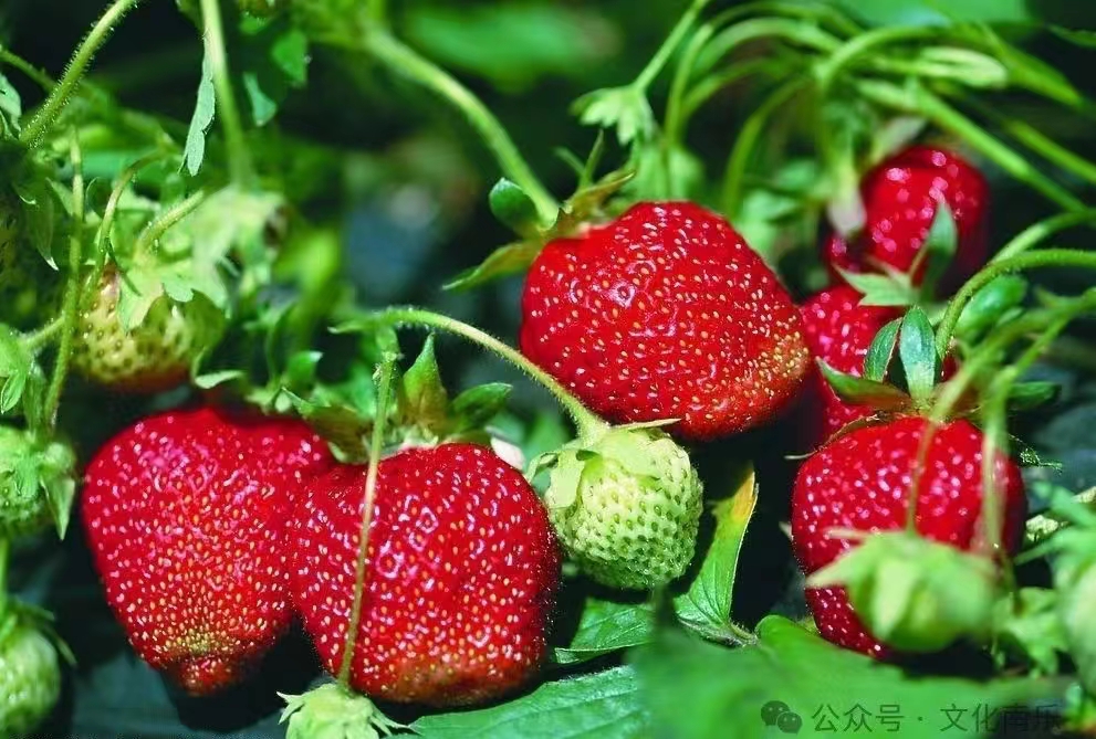 微信图片_20241010153623 微信图片_20241010153623.jpg