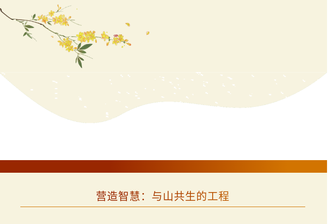 image.png?v=1789631039839