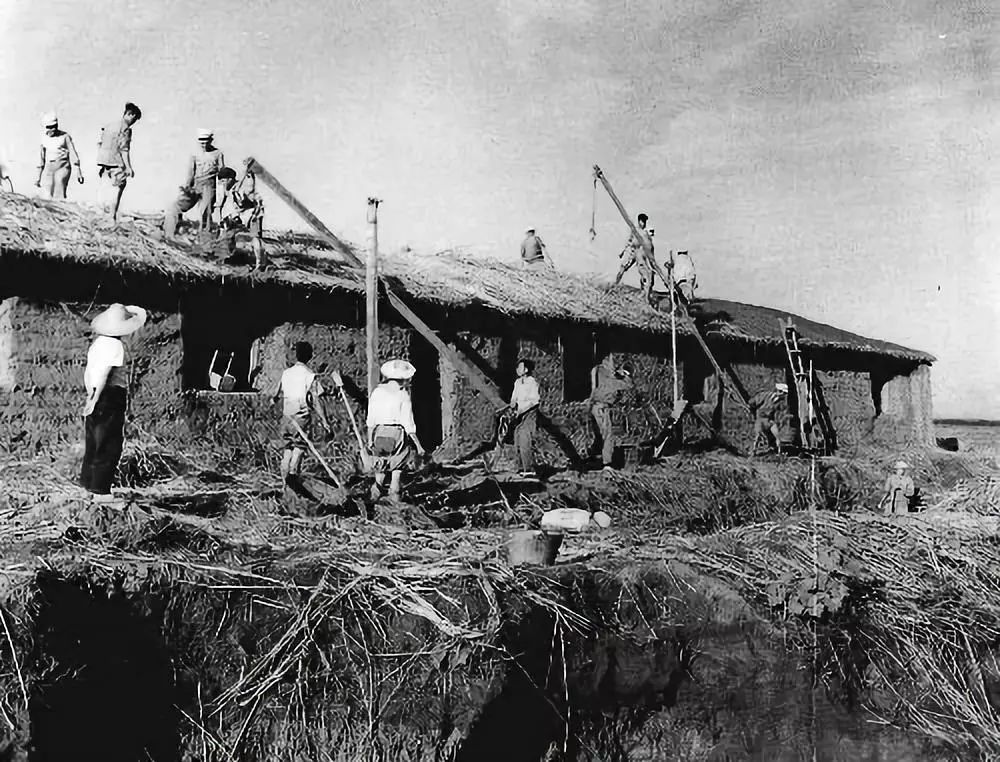 77266830b17fedbb9186413f79b41801 77266830b17fedbb9186413f79b41801.jpg