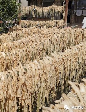 33 33.jpg?v=1765947530371