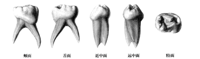 pagenumber_ebook=44,pagenumber_book=35