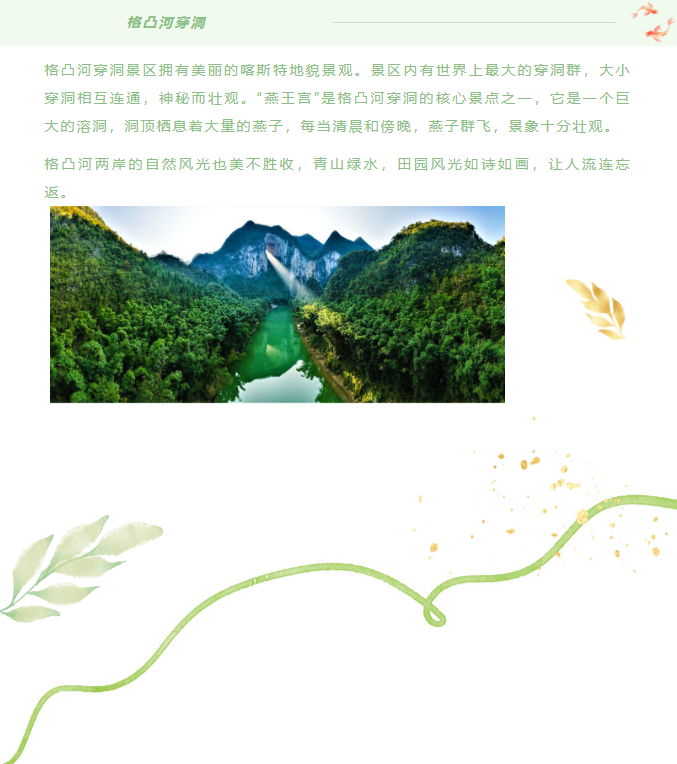 image.png?v=1751558967926