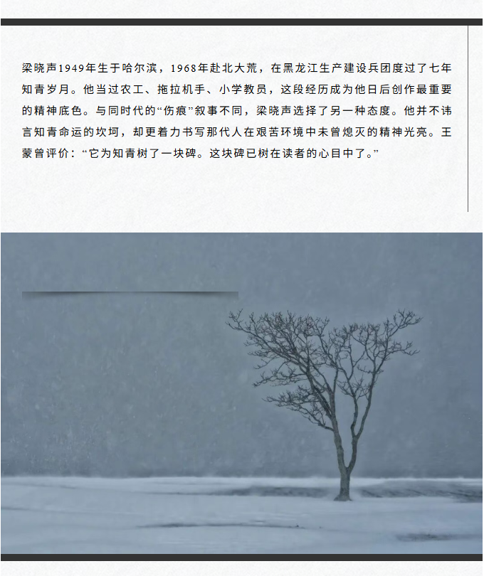 image.png?v=1793225952534