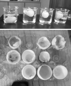 pagenumber_ebook=179,pagenumber_book=179