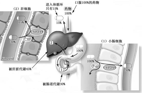 width=482,height=317,dpi=110