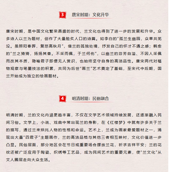 image.png?v=1762124792502