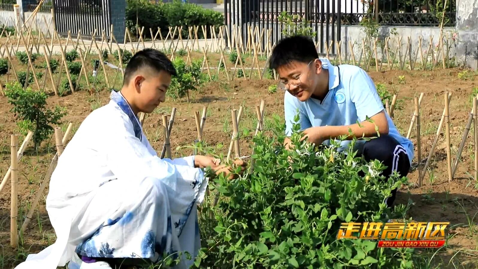 微信图片_2026-08-30_202301_608jpg