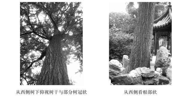 pagenumber_ebook=96,pagenumber_book=96