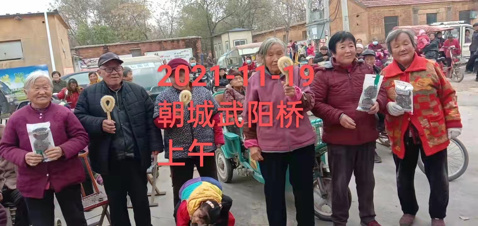 【莘县】朝城镇2021年“我们的中国梦－文化进万家”我为群众办实事 群众文化活动巡演