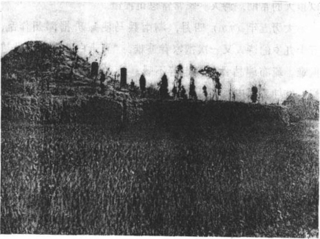 pagenumber_ebook=331,pagenumber_book=317