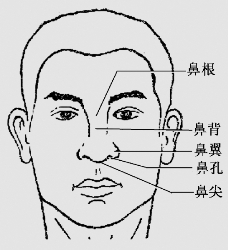 pagenumber_ebook=40,pagenumber_book=27