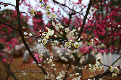 IMG_5757 IMG_5757.jpg