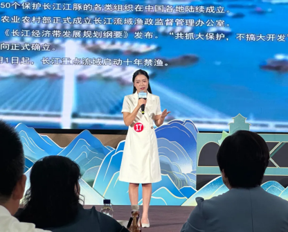 image image.png?v=1770175082898