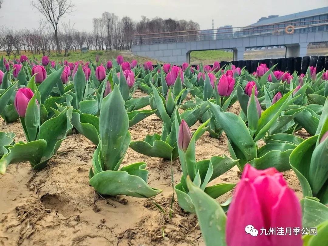 微信图片_20210329153755 微信图片_20210329153755.jpg