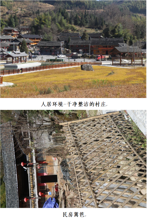 1732264558037 1732264558037.png