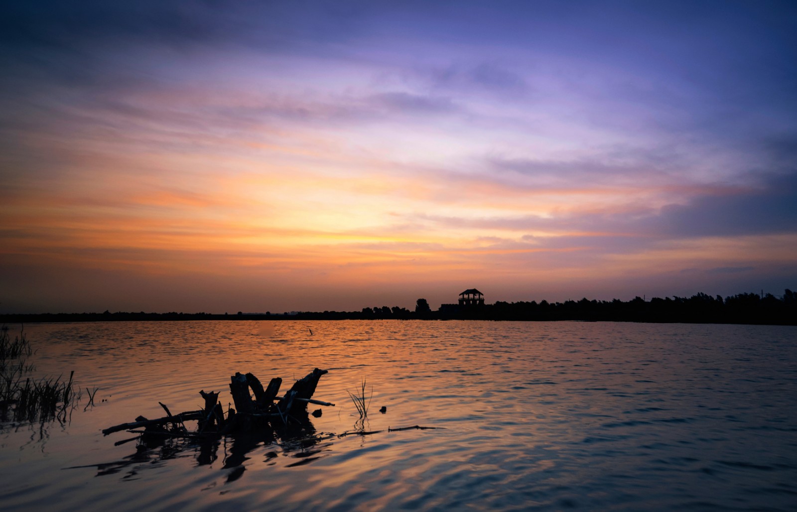 《辽河源晨光》吕胜杰