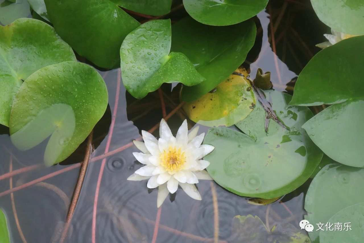 01c414009ae6c760030783d4336b9549 01c414009ae6c760030783d4336b9549.jpg