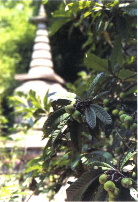 pagenumber_ebook=201,pagenumber_book=194