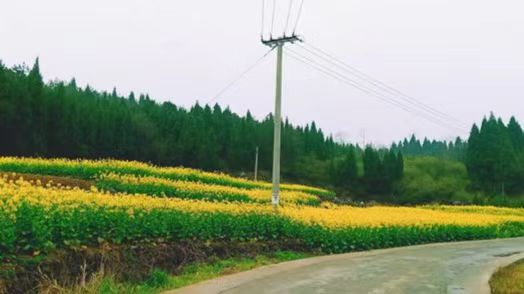 微信图片_20241213111300