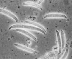 pagenumber_ebook=118,pagenumber_book=118