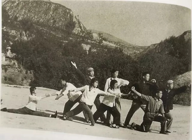 20170929131111_dl9uyet6uw 20170929131111_dl9uyet6uw.jpg?v=1764862408471