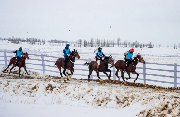 截屏2023-12-25 17.29.25