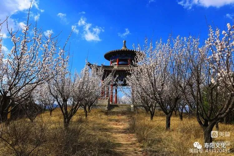 微信图片_20230414095901