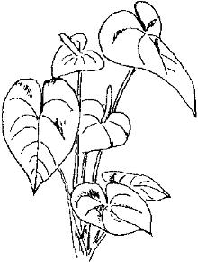 pagenumber_ebook=266,pagenumber_book=266